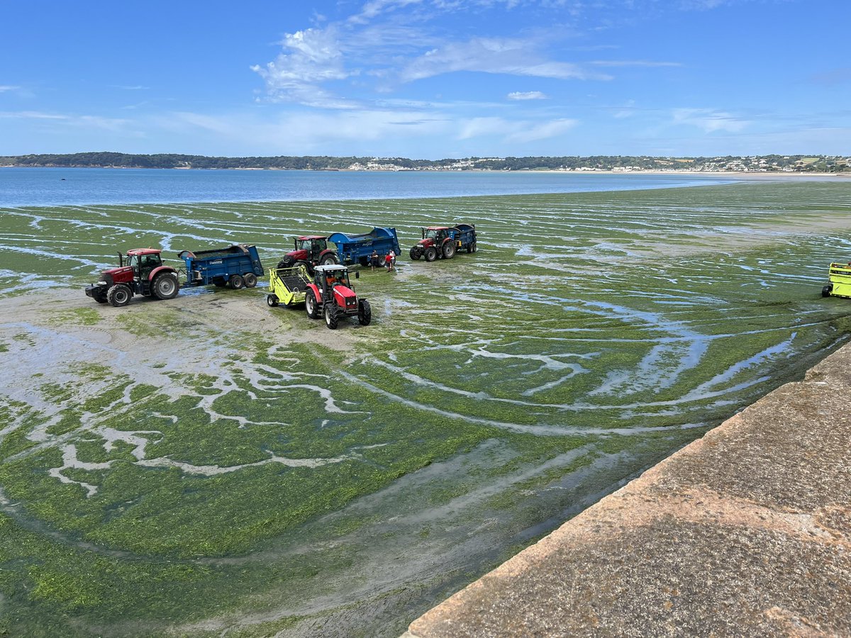 Different type of harvest in Jersey!