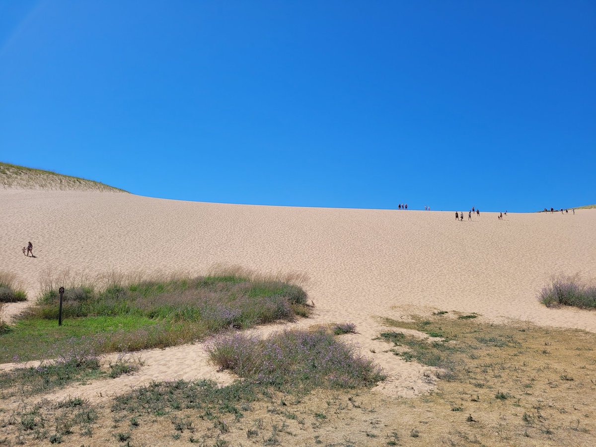 Josh Phillips tweet media