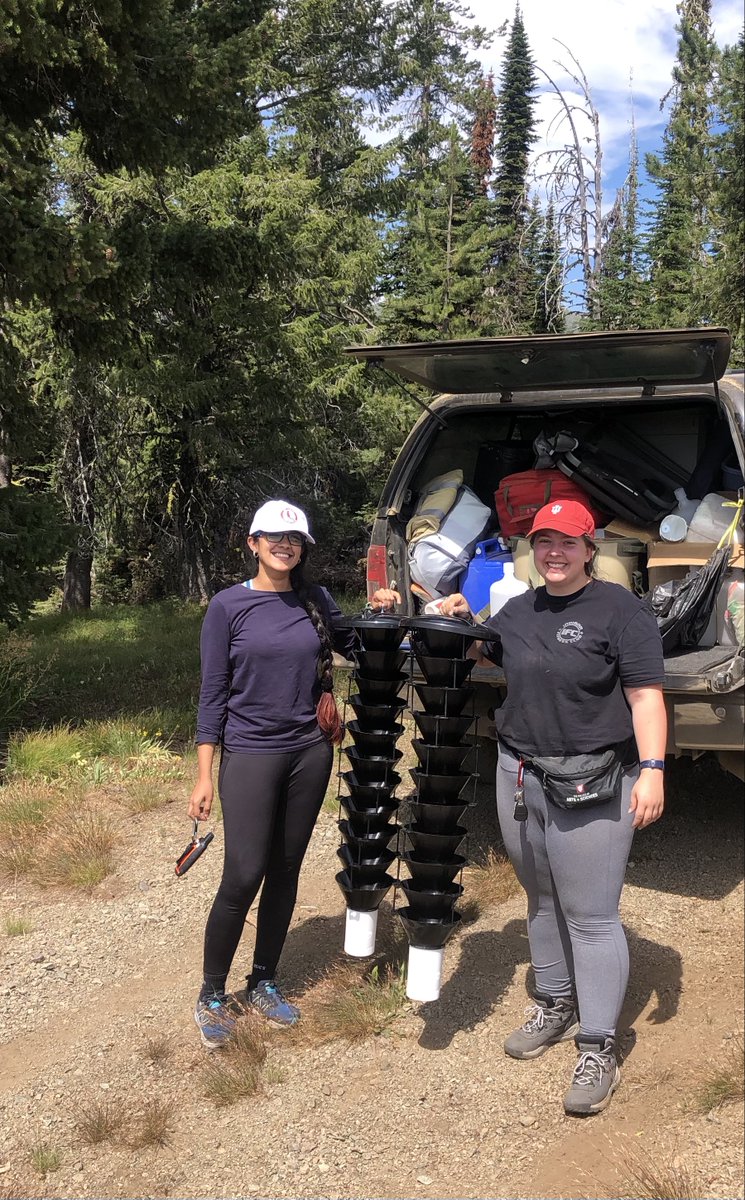 A few days of talking science and collecting bark beetles with the amazing Dr. Barbara Bentz. What a treat!