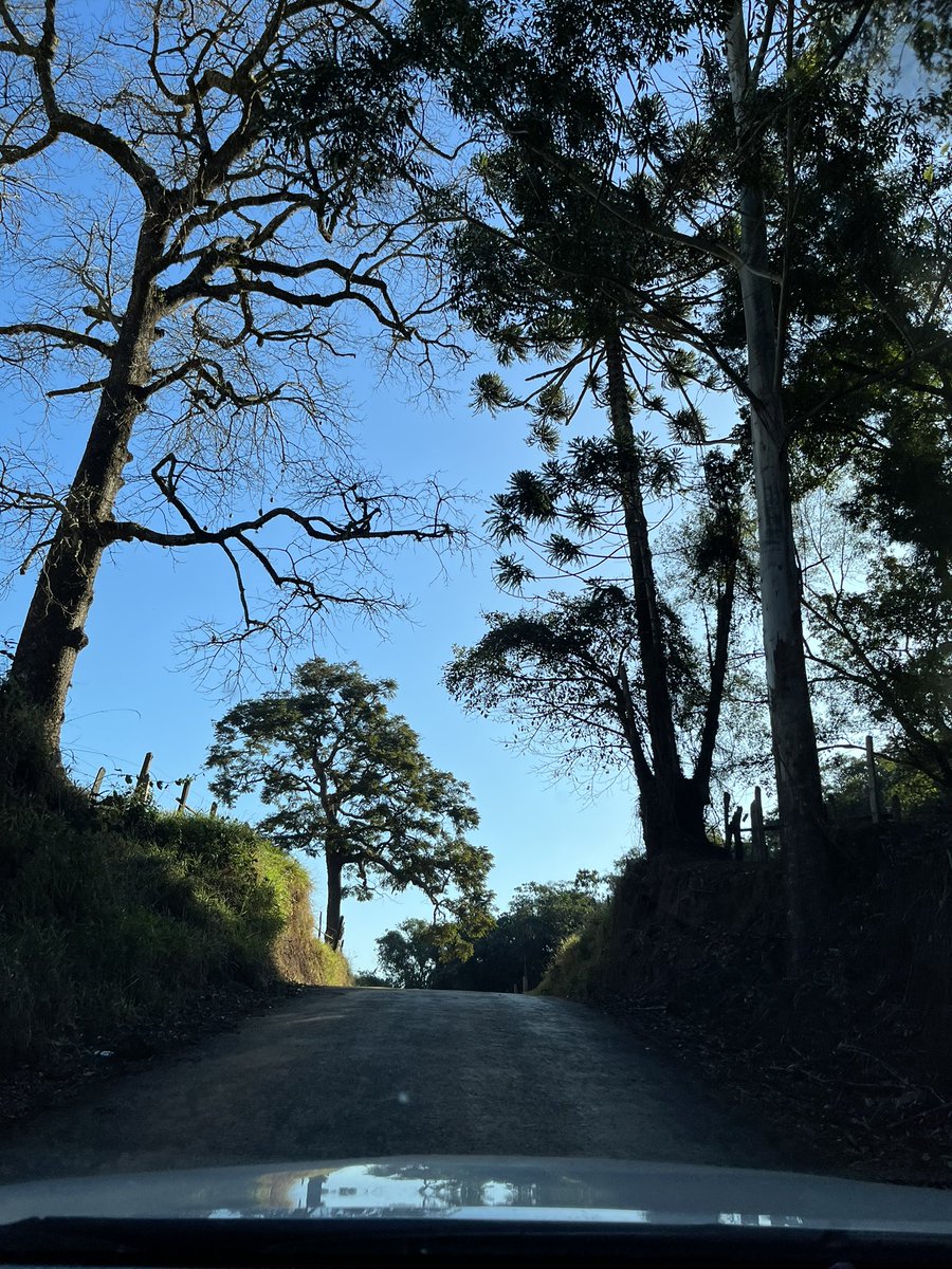 MuriloAdv's tweet photo. Nossa terra (Camanducaia-MG). https://t.co/pi1jaqnDRb