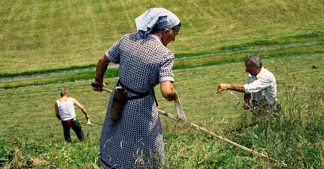 Last day! Photo Independent Virtual Fair closes Sunday 7-31! Featured here:
Joe Schmelzer: Nick, Back of head, Oahu, Hawaii, 2014; Tebani Slade: Paris Summer; Verner Soler: Segar Maghers Cun Faulsch / Cutting Hay with the Scythe. View more and purchase at: virtual.photoindependent.com