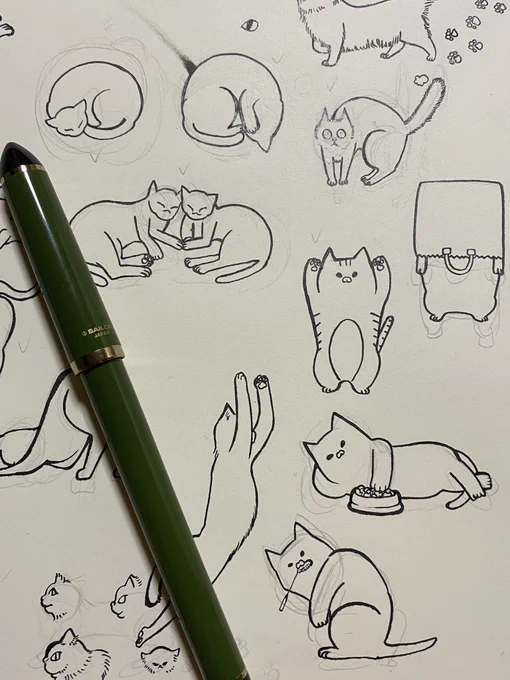 🐈 