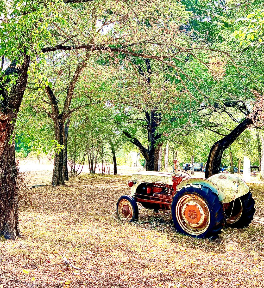 Finished out the summer with a weekend camping trip, hiking, family time, reading and eating. Lots of memories this summer! ❤️#ABSsummerchallenge