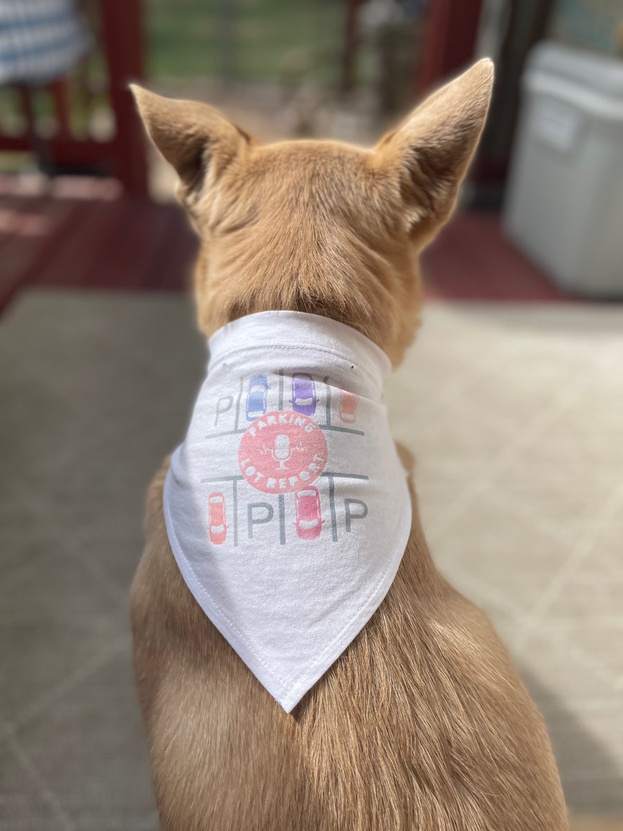 JohnE_C's tweet photo. Bernie always repping his favorite podcast @tomcollaro 
https://t.co/LQIFpXeubP https://t.co/QbH33TBpjy