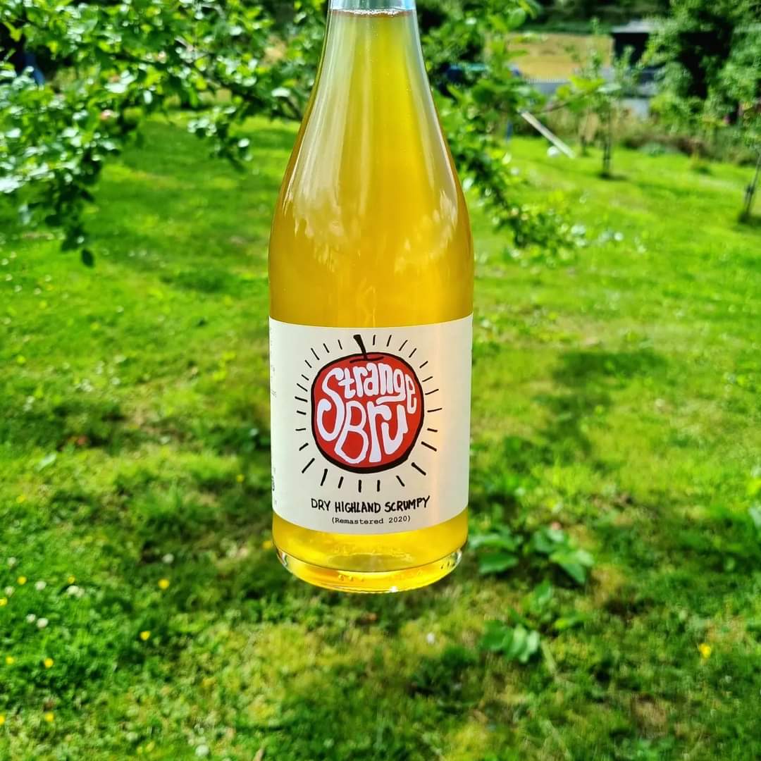 CaledonianCider's tweet photo. It's back! The legendary "Strange Bru" returns after a 2 year absence.

Full on dry cider made from Black Isle grown  bittersweet apples, aged in a whisky cask with more complexity than a black hole.

#highlandcider #scottishcider #naturalcider #scrumpy #scottishproduce #drycider https://t.co/jgn7uUHKEP