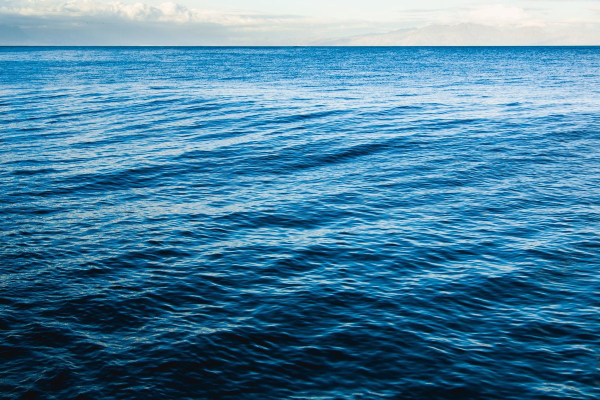 DarthPutinKGB's tweet photo. The Russian Navy Black Sea Fleet held a review for #NavyDay https://t.co/BzSjVIIYK1