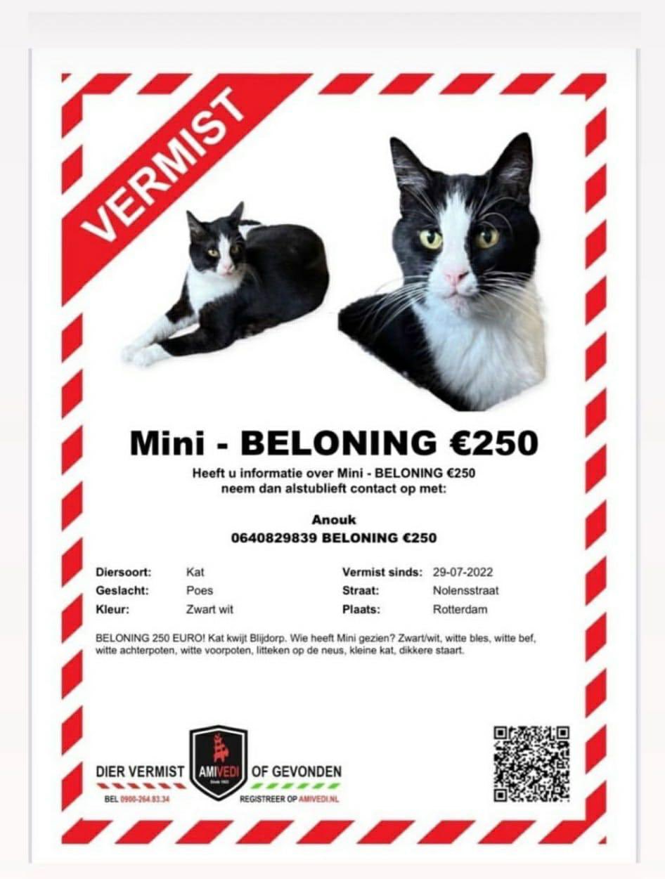 Niet genoeg Reizende handelaar Consequent Ebru Umar on Twitter: "En dan nu iets BELANGRIJKS. EEN WEGGELOPEN POES.  Willen alle ROTTERDAMMERS UITKIJKEN NAAR MINI??? #delenislief  https://t.co/Z0pHMTalFQ" / Twitter