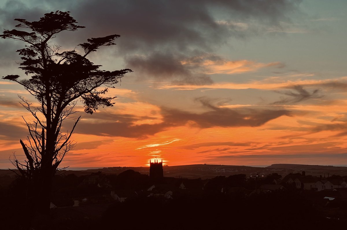 Louise Page tweet media