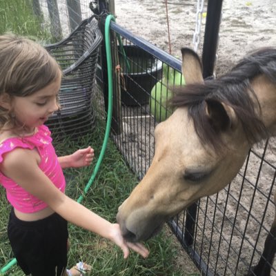 PonyCoutureTYP's tweet photo. #NewProfilePic https://t.co/aVg1k0Ds3p