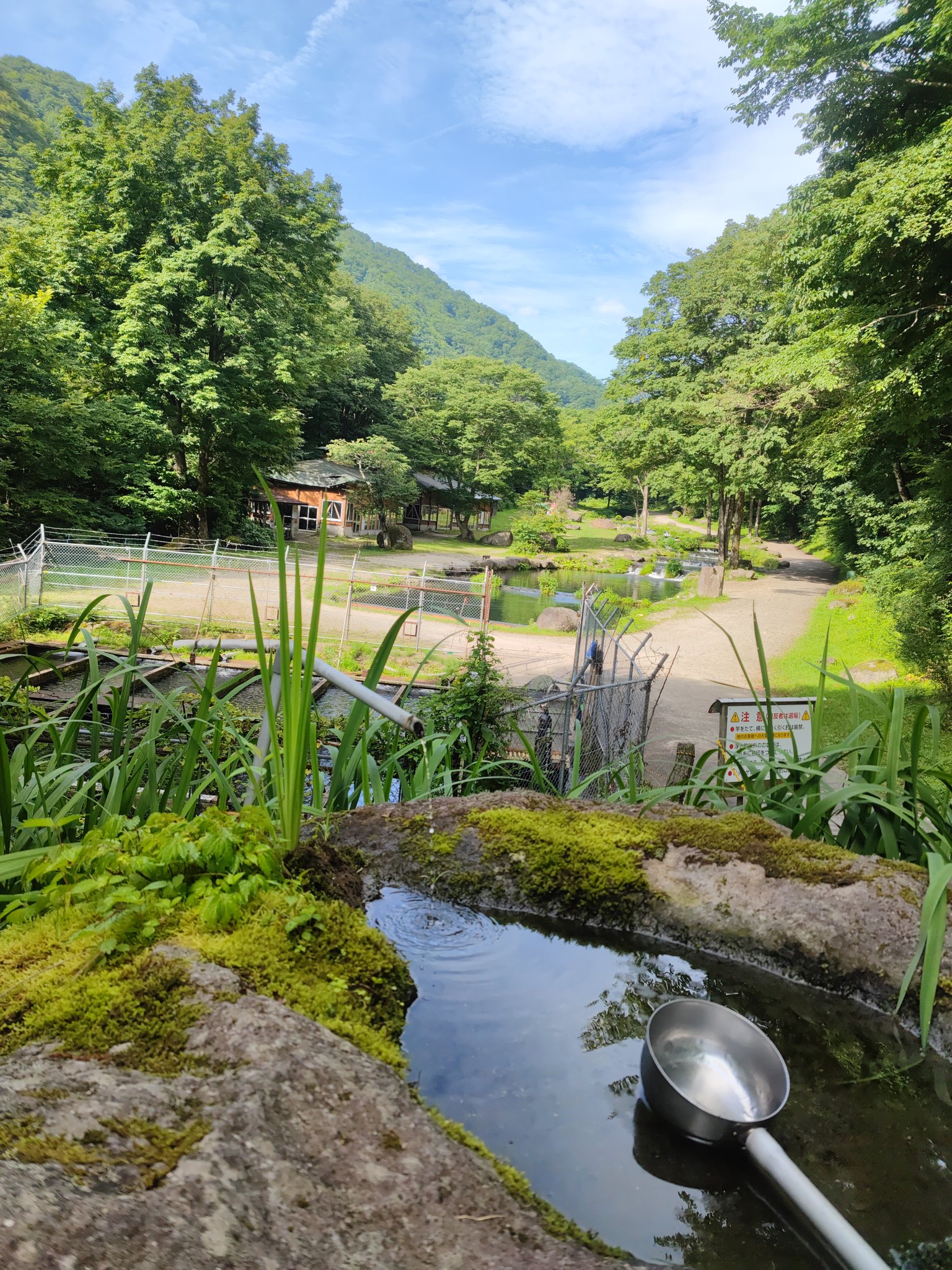 تويتر 新東北笹谷渓流つり على تويتر おはよう御座います 新東北笹谷渓流つりの場内は晴れです 現在24度前後 湿度は87 です 熱中症対策はしっかり 釣り堀 宮城 渓流 ニジマス イワナ 夏休み 熱中症 T Co Uns4tnncb5 تويتر 新東北笹谷渓流つり على تويتر おはよう御座います 新東北笹谷渓流つりの場内は晴れです 現在24度前後 湿度は87 です 熱中症対策はしっかり 釣り堀 宮城 渓流 ニジマス イワナ 夏休み 熱中症 T Co Uns4tnncb5