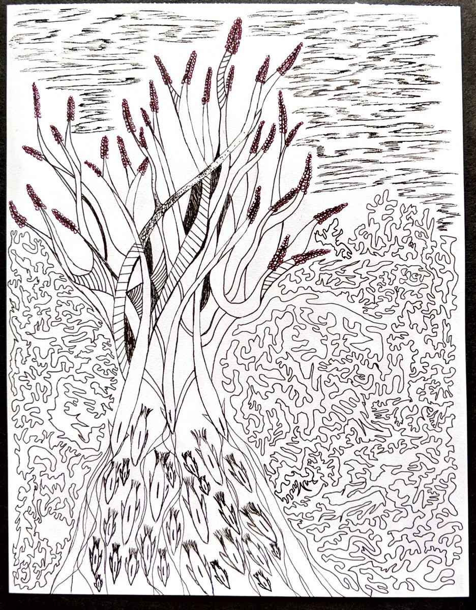 SA_ArtCollect's tweet photo. Circulate, 2020
Ink, 7"x10"
#art #visualart #handrawn #InkDrawing #inkpens #drawing #artscan #artontwitter #artonline #collection https://t.co/MXhc9QiPnL