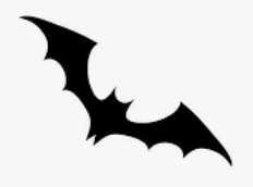 James Wright tweet media