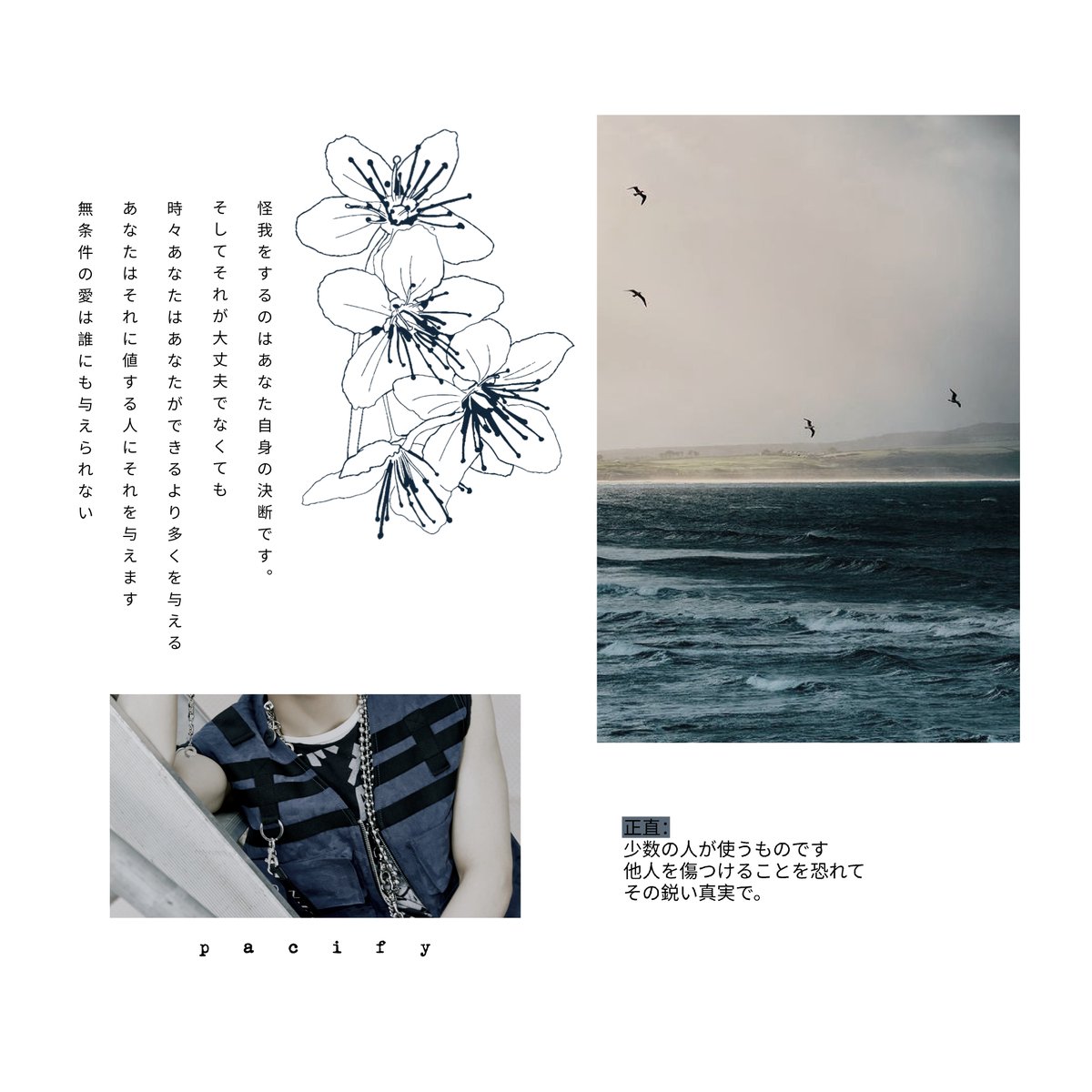 vol. 1 ◽ analog pics &amp; v-hs, west side ocean : cinema ²