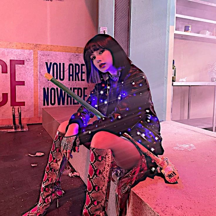 golden retriever                    gato preto