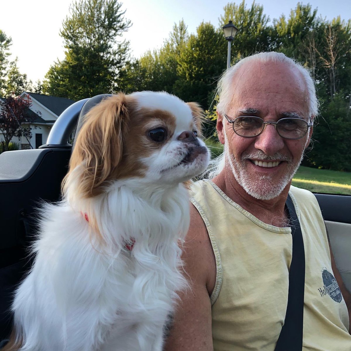 PrincessAvaBiso's tweet photo. Koshi going on his 🎂celebratory birthday🎂car ride with Daddy!

#happybirthday #koshkosh #partofourfamily #PrincessAvaBisou #puppymillsurvivor #PrisonertoPrincess #dogsofinstagram #dogsoftwitter https://t.co/yy6x8gKPni