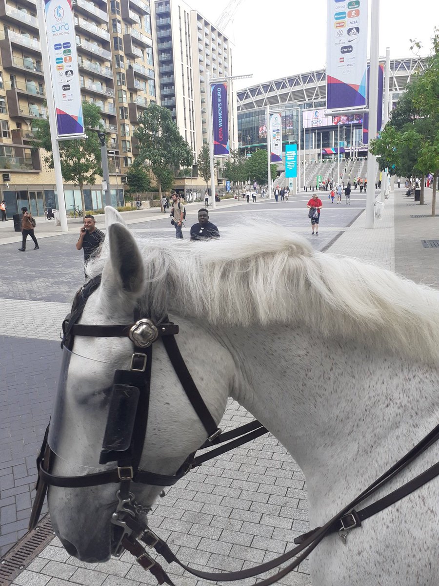 My friend PH Wilfred kept me up to date on the #womenseuros2022 scores, live from #wembly