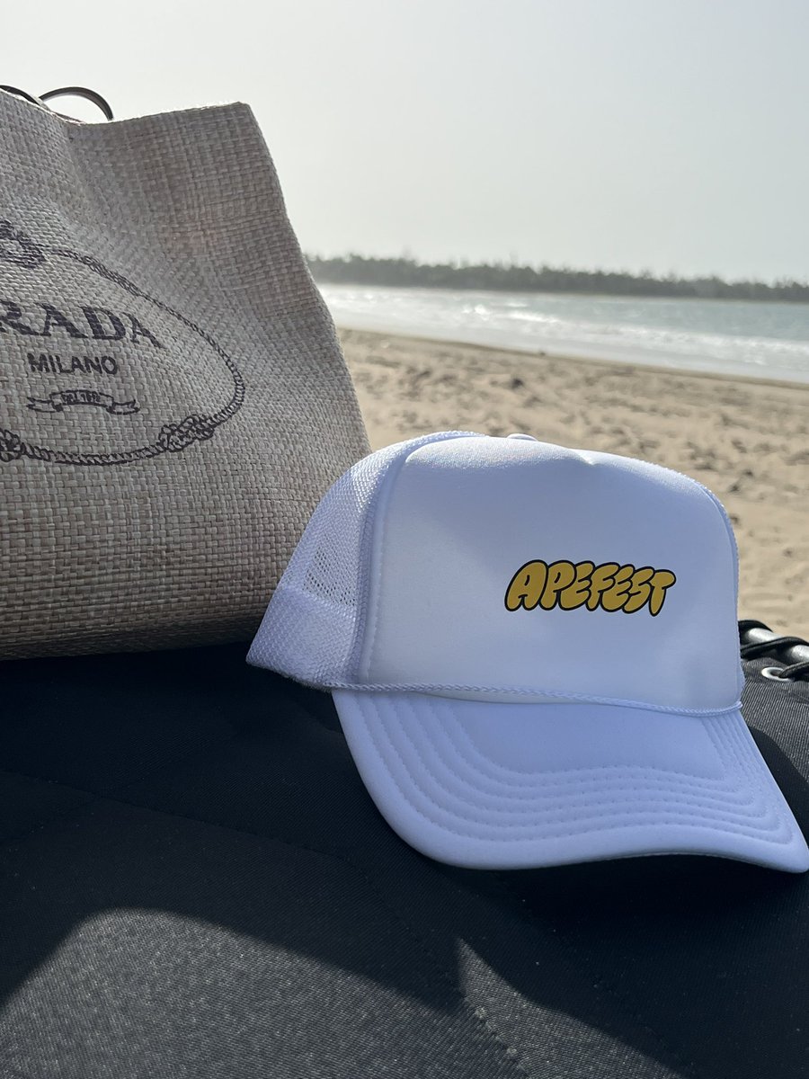 gnosticc's tweet photo. Some degen play #BeachVibes #PuertoRico #StRegis #Apemerch @BoredApeYC https://t.co/O5UkyhnR38