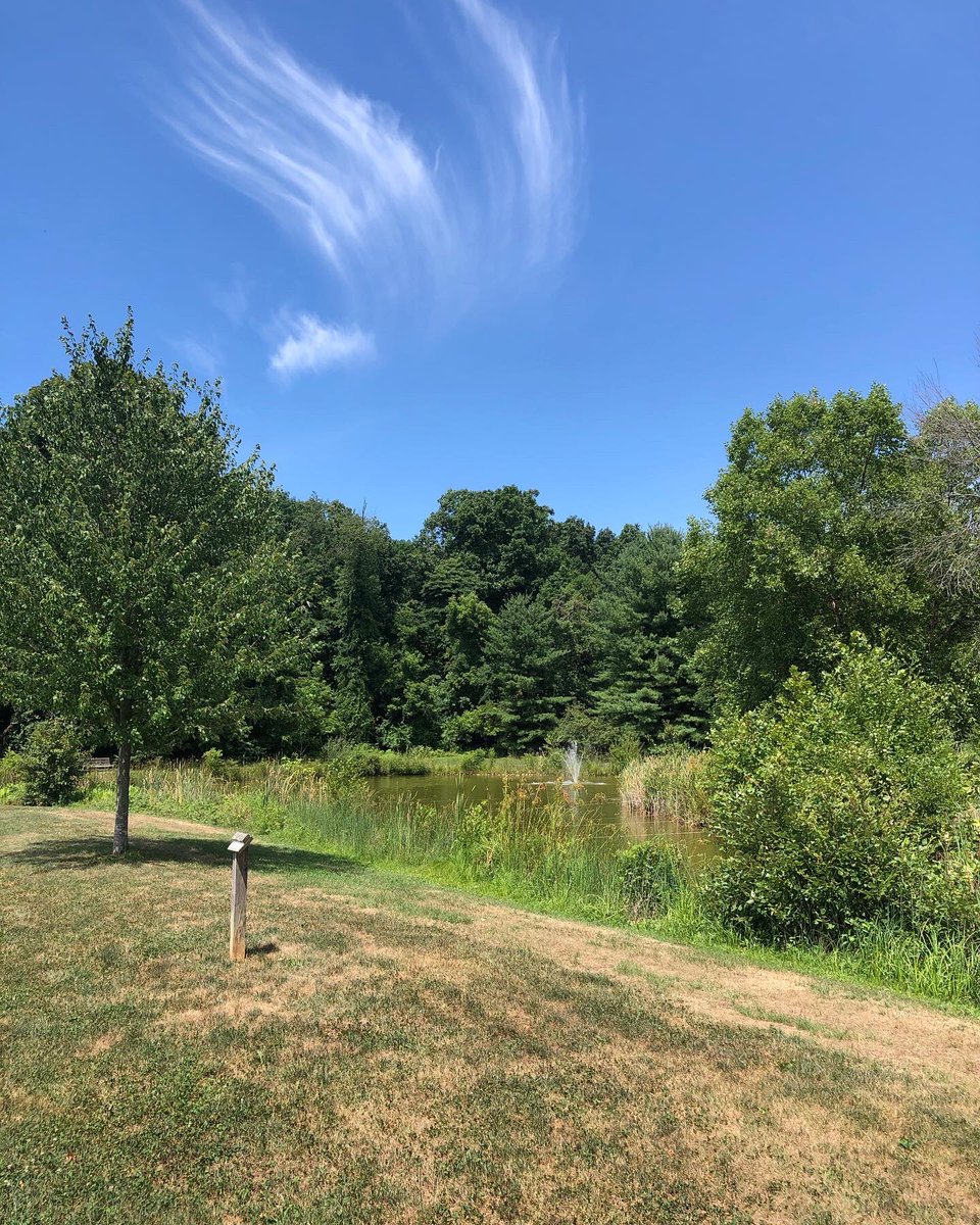 richruck's tweet photo. Returned to #trailtraining today after a two week #battle with #COVID19. @mystlukes @WarriorAlumni #BeAware https://t.co/uHUf1Bqk5P