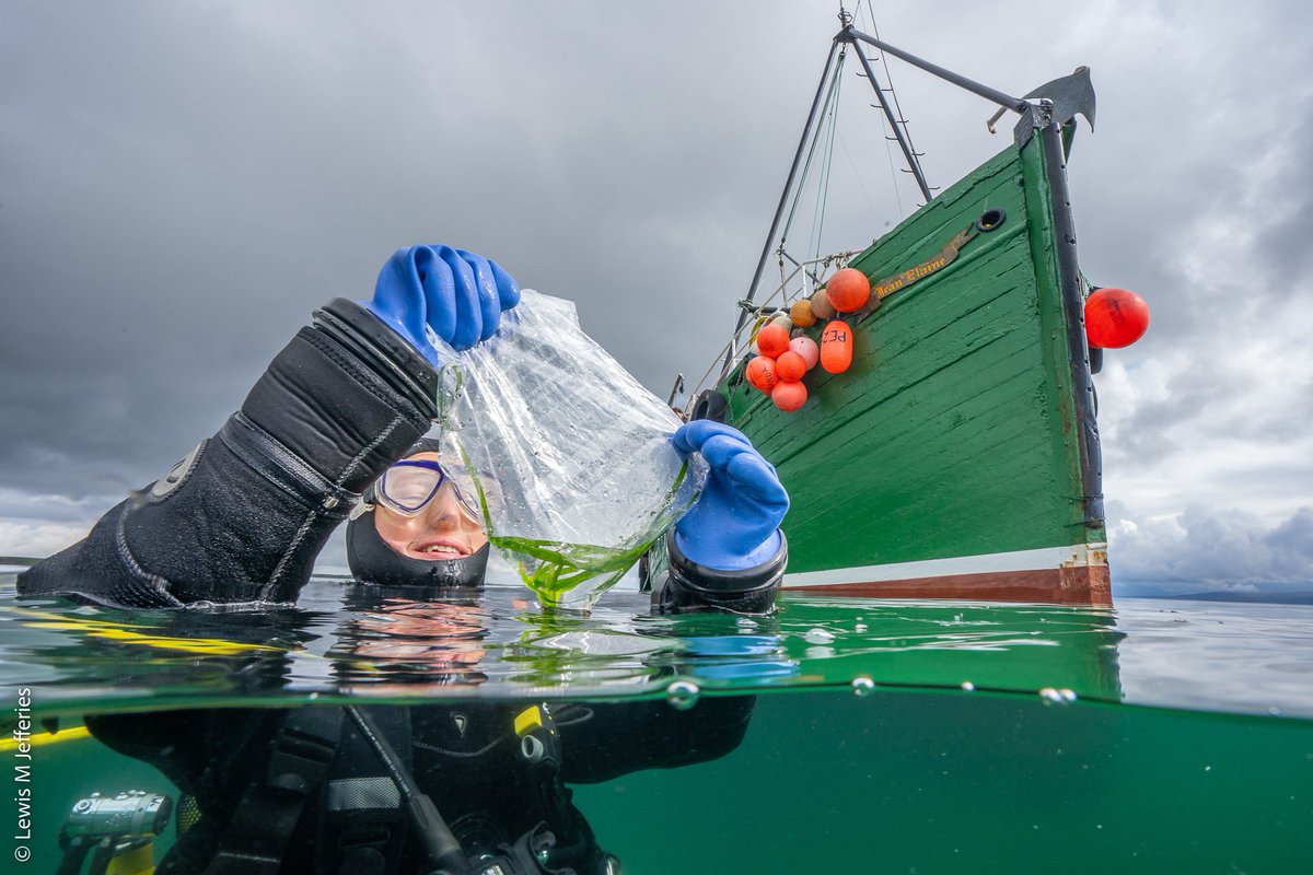 Lewis Michael Jefferies (@lewismjefferies) on Twitter photo I recently joined <a href="/projectseagrass/">Project Seagrass</a> and <a href="/HeriotWattUni/">Heriot-Watt University</a> in the Orkney islands for an offshore scientific expedition to explore the Seagrass meadows around the islands, record the wildlife we found and the scientific fieldwork throughout the week. #generationrestoration I recently joined <a href="/projectseagrass/">Project Seagrass</a> and <a href="/HeriotWattUni/">Heriot-Watt University</a> in the Orkney islands for an offshore scientific expedition to explore the Seagrass meadows around the islands, record the wildlife we found and the scientific fieldwork throughout the week. #generationrestoration