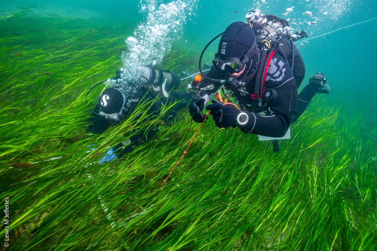 Lewis Michael Jefferies tweet media