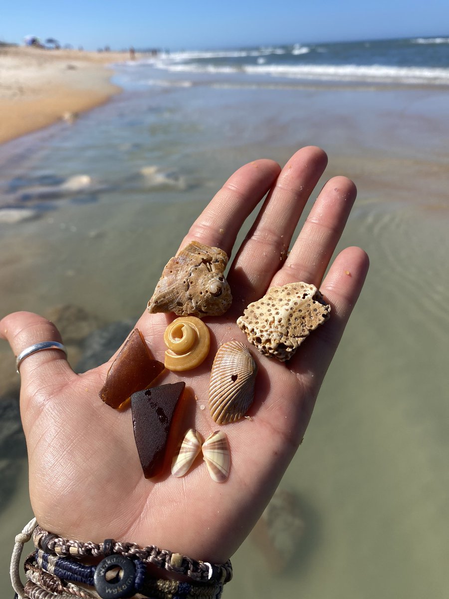 Flagler Surf 🌊🌊🌊 tweet media