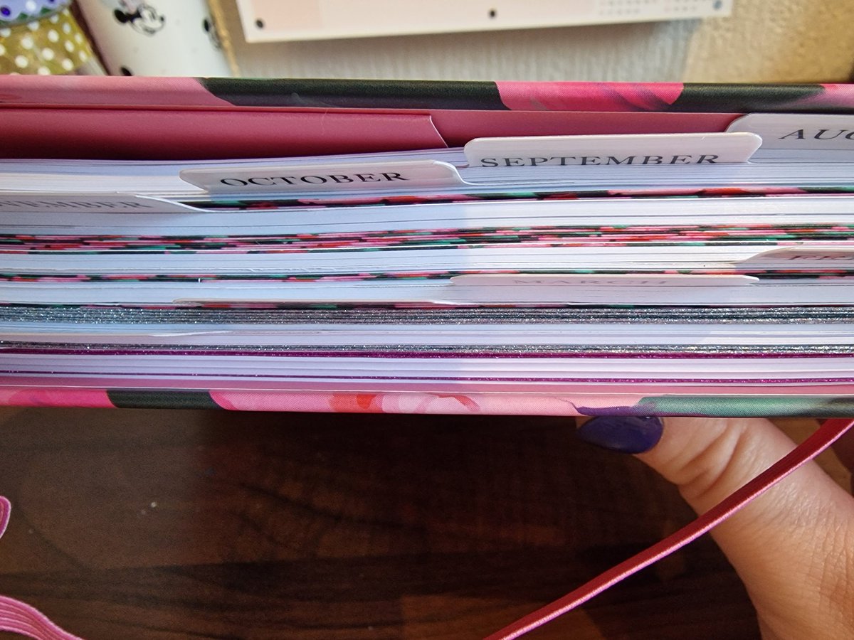 MissKerr92's tweet photo. All washi taped, matching and ready to use!!! 

Need to write in them now! 😍
@TPositiveTC
#ECT #Teacher #firstyear #planner #diary #prepared #teambloom https://t.co/k3uOfiVceB