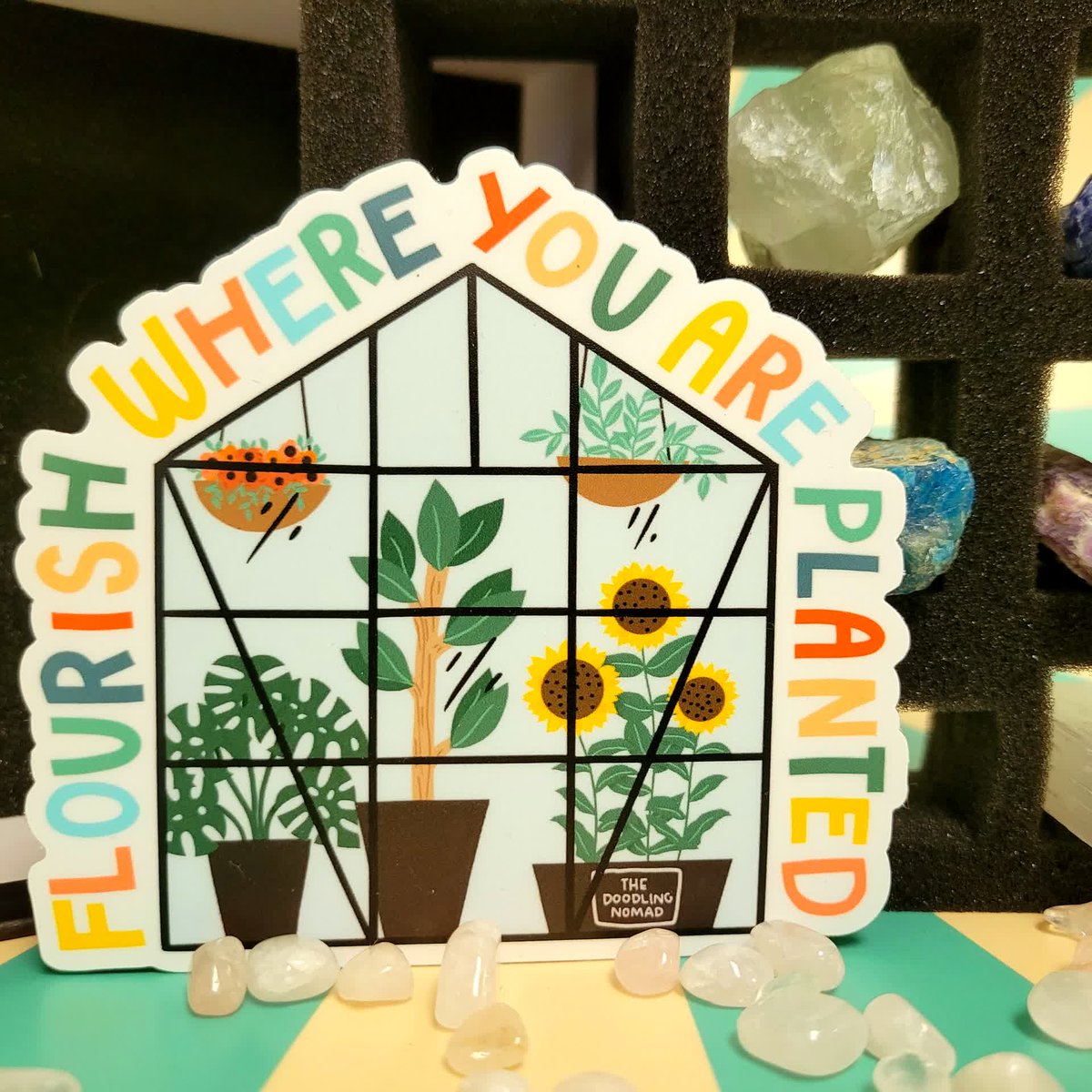 FastStickers's tweet photo. Rooting for all of you to flourish where you are planted!

Order your custom stickers today! 👉 Link in bio

#flourishwhereyouareplanted #rootingforyou #plantstickers #stickers #motivationalstickers #customstickers #faststickers https://t.co/Ge1KygerZA
