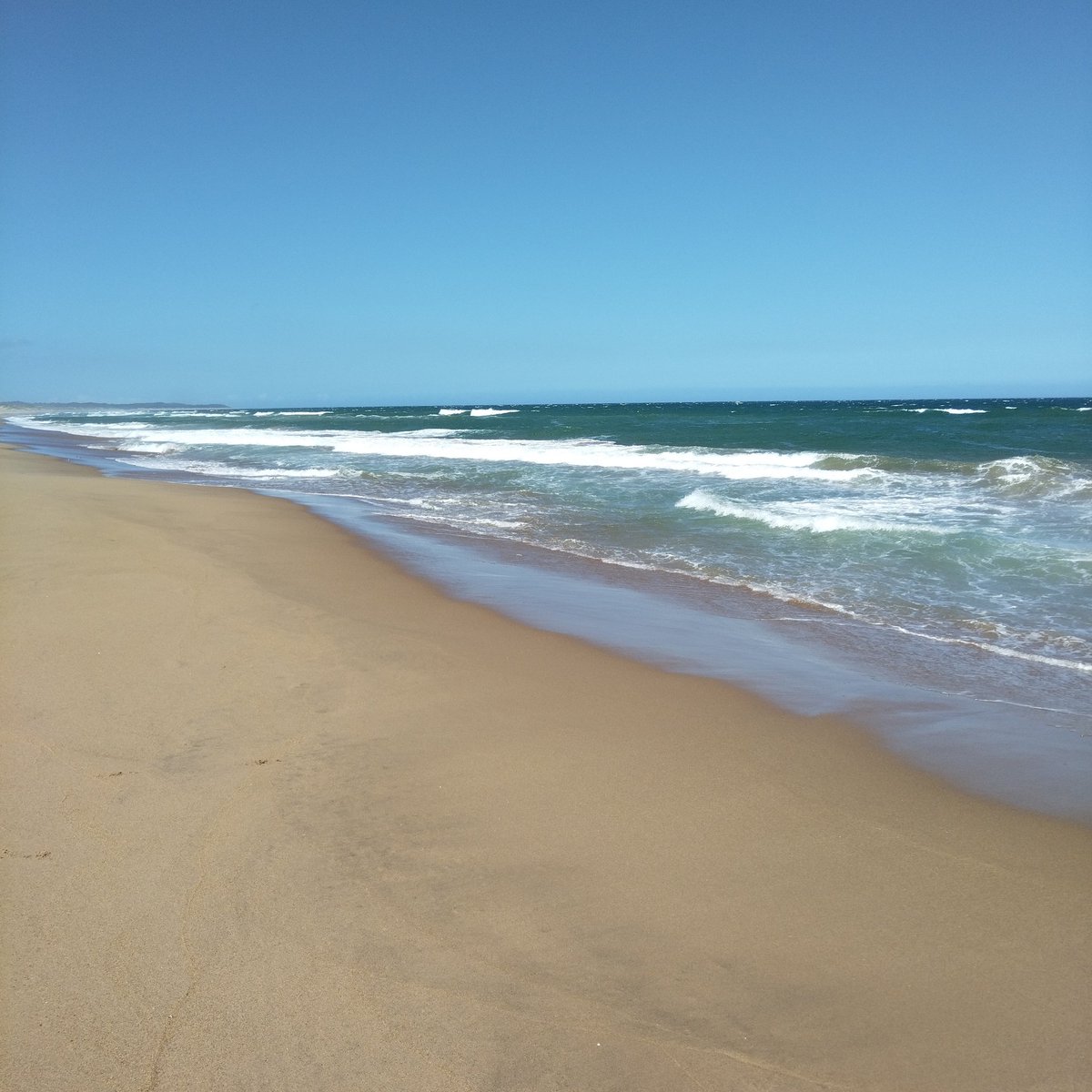 SabzerAzoh's tweet photo. Sea water contains silicic acid which helps ease skin problems such as eczema and psoriasis. It has a great effect on anyone with rheumatism, arthritis, back or joints pain,contracted muscles. The minerals in it help reduce inflammations, as they help the liver... https://t.co/NsHICdF832