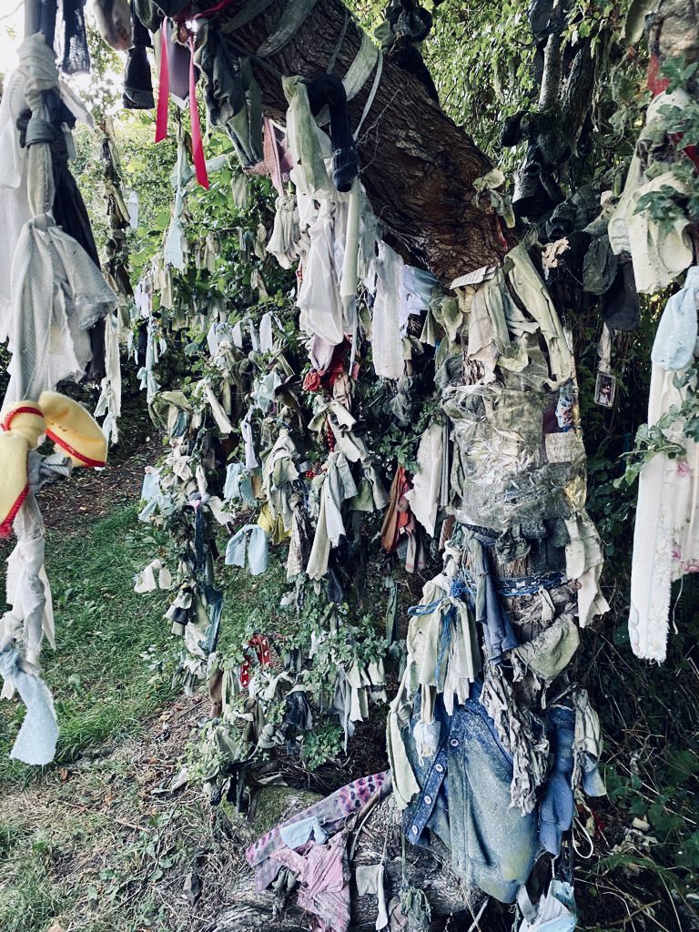 careful what you wish for