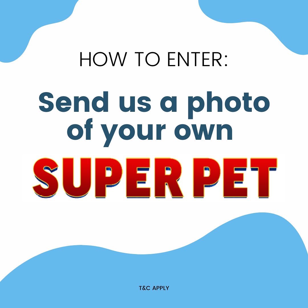 Getsetpet's tweet photo. 🚨 #Competition Time 🙌🎉

SUPER PRIZES FOR YOU! 

Get a chance to win 3 months supply of @burnspet &amp; a Super - Pets goody bag or 4 cinema tickets to see Super Pets!

HOW TO ENTER:
Send us a photo of your super pet! 

T&amp;C apply
UK Competition Only

#ukcats #ukdogs #superpets https://t.co/AovtIz29mm