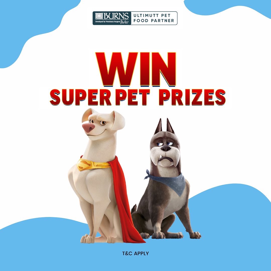 Getsetpet's tweet photo. 🚨 #Competition Time 🙌🎉

SUPER PRIZES FOR YOU! 

Get a chance to win 3 months supply of @burnspet &amp; a Super - Pets goody bag or 4 cinema tickets to see Super Pets!

HOW TO ENTER:
Send us a photo of your super pet! 

T&amp;C apply
UK Competition Only

#ukcats #ukdogs #superpets https://t.co/AovtIz29mm
