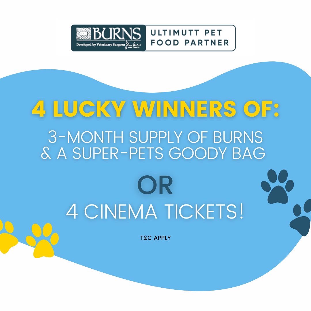 Getsetpet's tweet photo. 🚨 #Competition Time 🙌🎉

SUPER PRIZES FOR YOU! 

Get a chance to win 3 months supply of @burnspet &amp; a Super - Pets goody bag or 4 cinema tickets to see Super Pets!

HOW TO ENTER:
Send us a photo of your super pet! 

T&amp;C apply
UK Competition Only

#ukcats #ukdogs #superpets https://t.co/AovtIz29mm