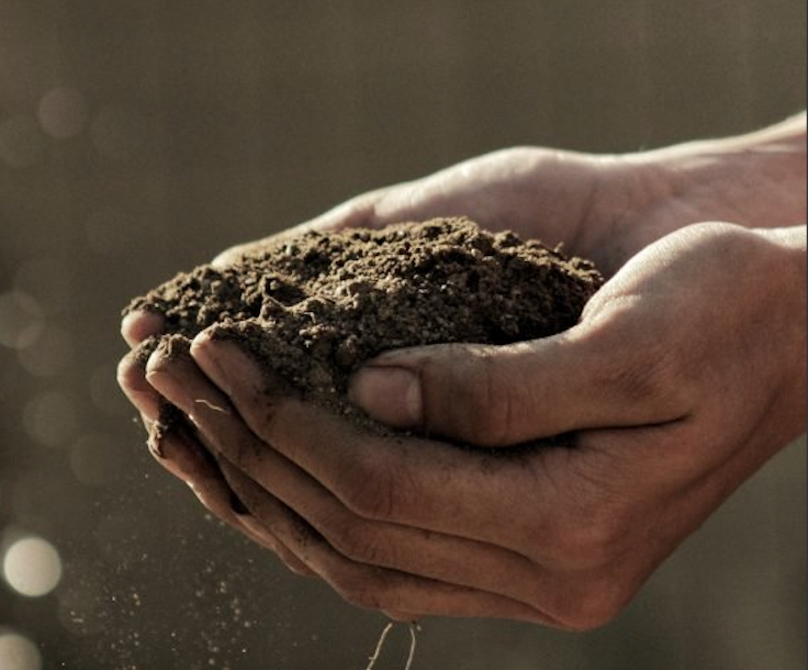 David González tweet media