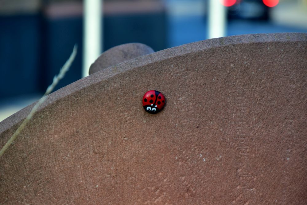 scheffie's tweet photo. #Mainzelkäfer auf Kreisel am Kreisel in #Mainz-#Mombach #Marienkäfer #ladybug https://t.co/4u6GqkjBr4