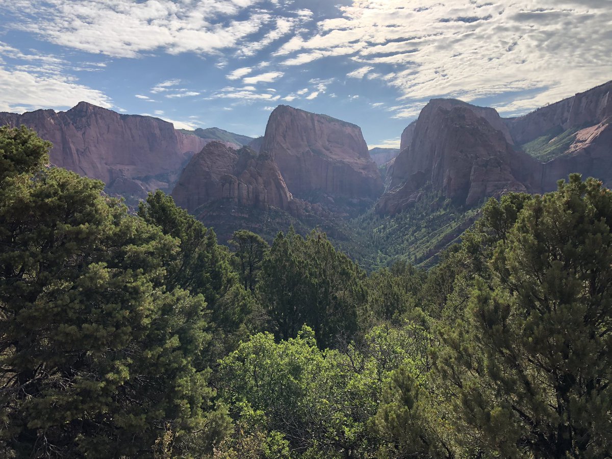 purelybyfaith's tweet photo. Day 26 - Wilderness
I recently had the pleasure of visiting Zion National Park in Utah. Itโs absolutely stunning there. I saw a few animals, but I wasnโt able to take photos because of how fast they were. This place is just so peaceful and pretty ๐
#DechartGames #JulyDechART https://t.co/QmUYimXK0O