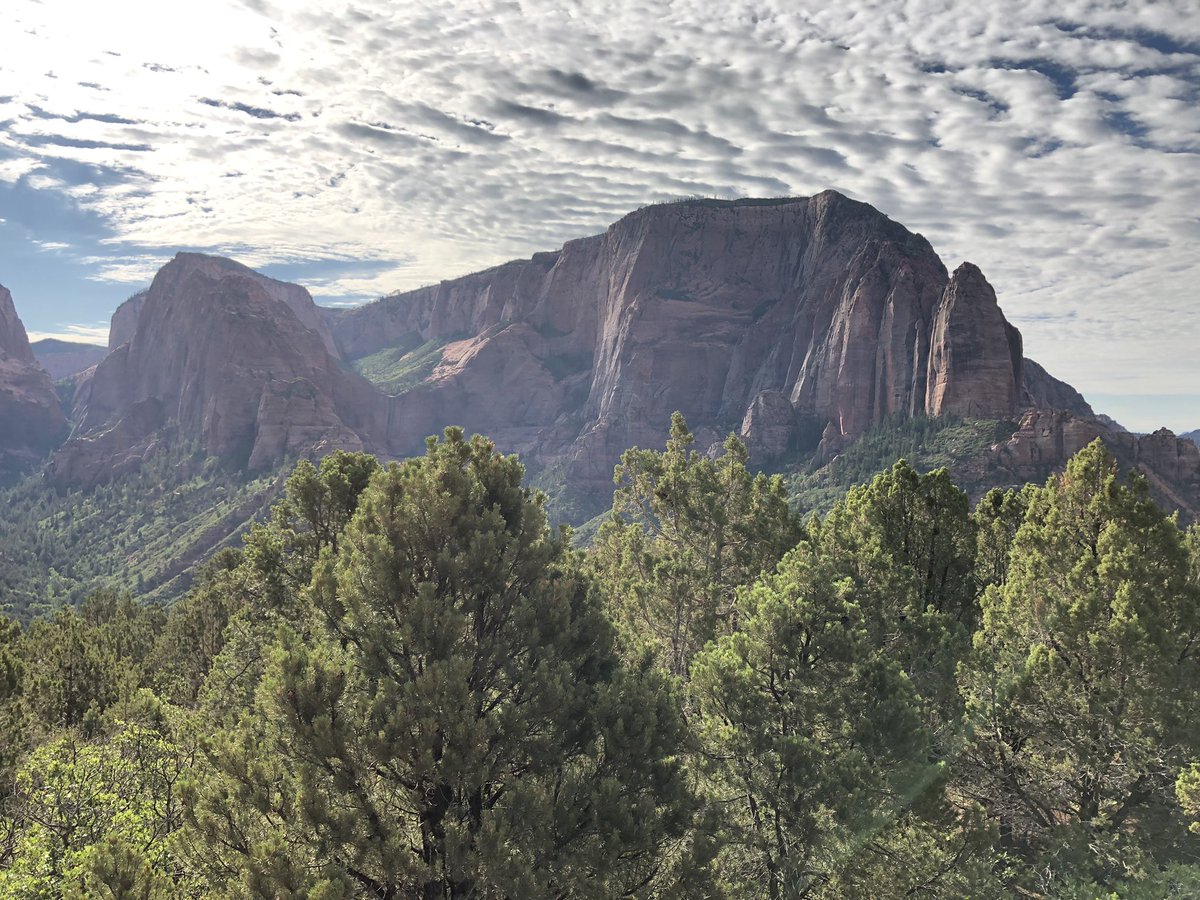 purelybyfaith's tweet photo. Day 26 - Wilderness
I recently had the pleasure of visiting Zion National Park in Utah. Itโs absolutely stunning there. I saw a few animals, but I wasnโt able to take photos because of how fast they were. This place is just so peaceful and pretty ๐
#DechartGames #JulyDechART https://t.co/QmUYimXK0O