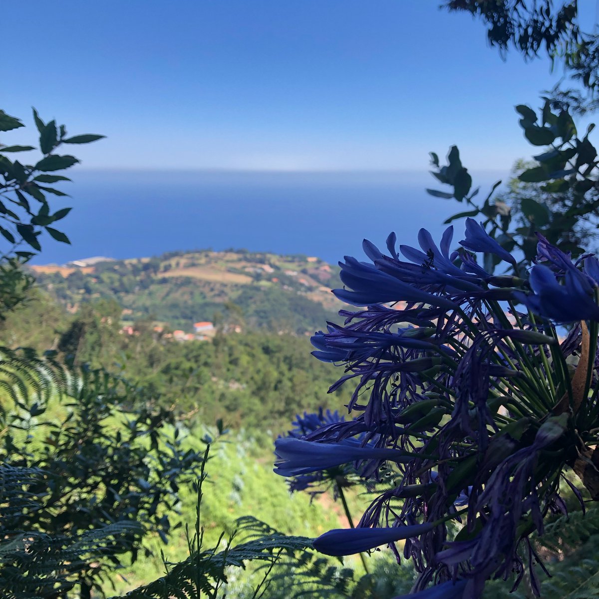 Thiago Friedrich tweet media