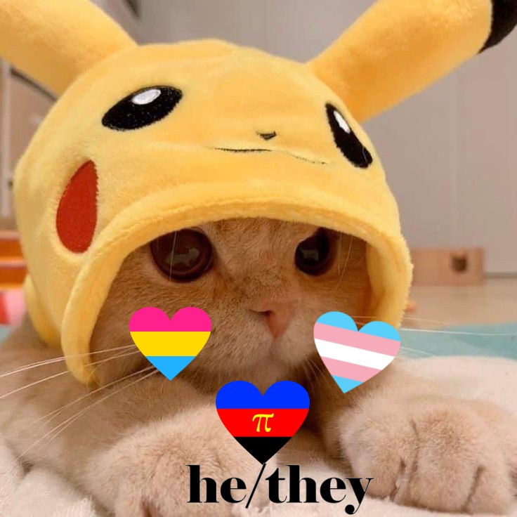 Cat ❤ (not my cat)