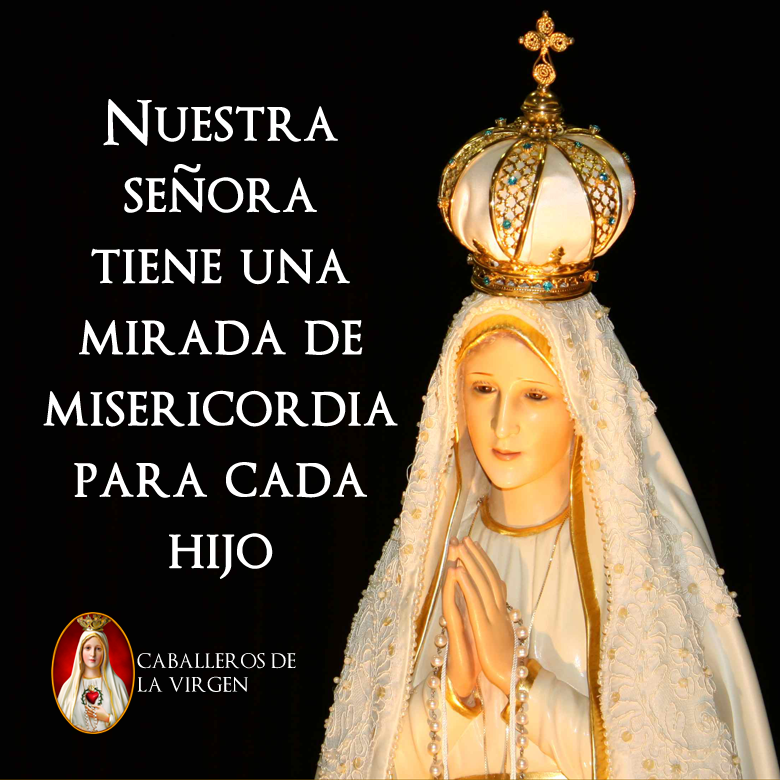Las cosas solo funcionan si la Madre de Misericordia nos ayuda por su gracia y su amparo.
