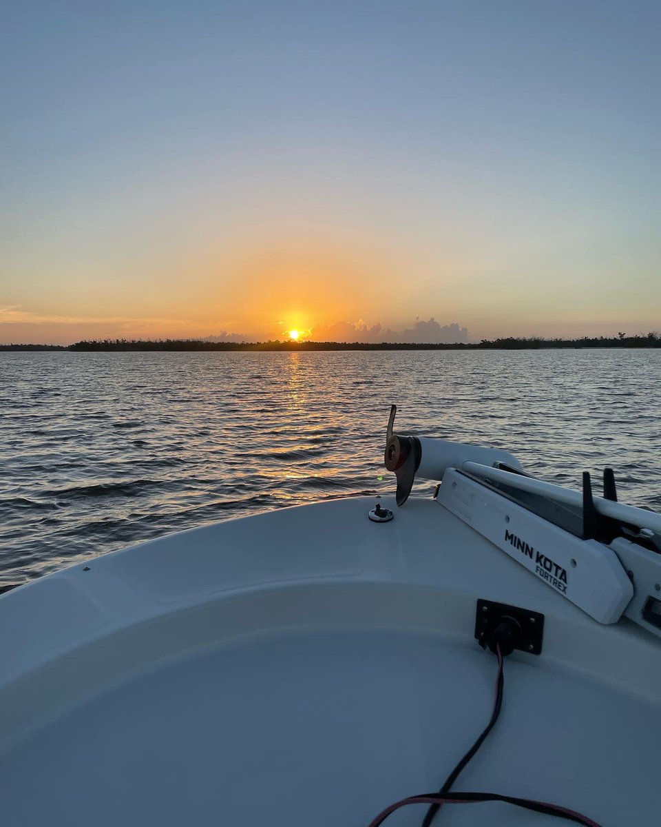 DarrenJDavisGCS's tweet photo. #sunrise #favoritetimeofday #GoodlandFlorida #backwaterfishing #MangroveSnapper #saltwatergospel @EvergladesNPS #10000islands #gulforgolf #blessed @carolina_skiff #carolinaskiff #skifflife #skiffsummer @MinnKotaMotors #gulftotable “Quick release” on a nice #Redfish & #Tarpon https://t.co/U7pOUdKxip