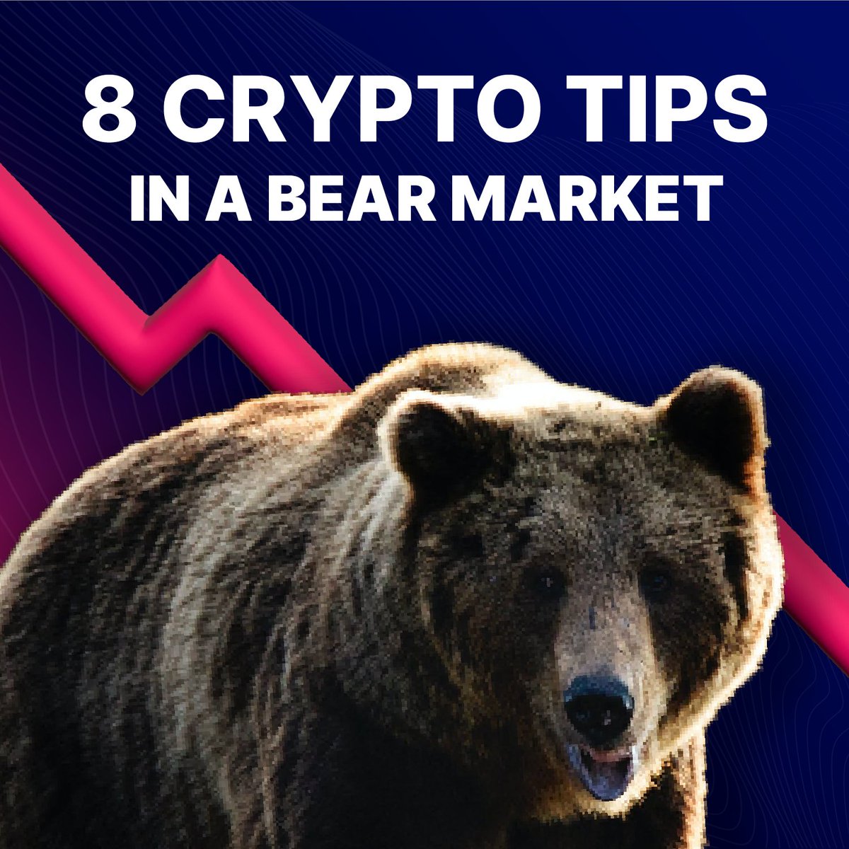 CoinMarketCap tweet media