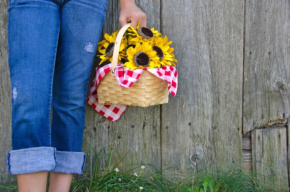 radiogirl985's tweet photo. #Ukraine #HelpUkraine #SupportUkriane #Sunflowers 🌻🇺🇦♥️ https://t.co/eF8EvKZfev