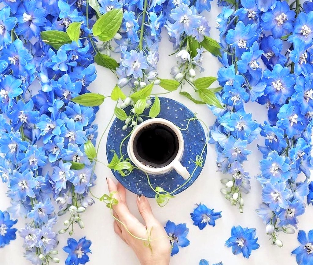 .

Yüreğinde Saygı ve Merhamet Olan 
Her İnsan Bir Gün Mutlulukla Hakettiği
Yere Gelecektir. 

GÜNAYDIN...

Mutlu Haftalar...
.