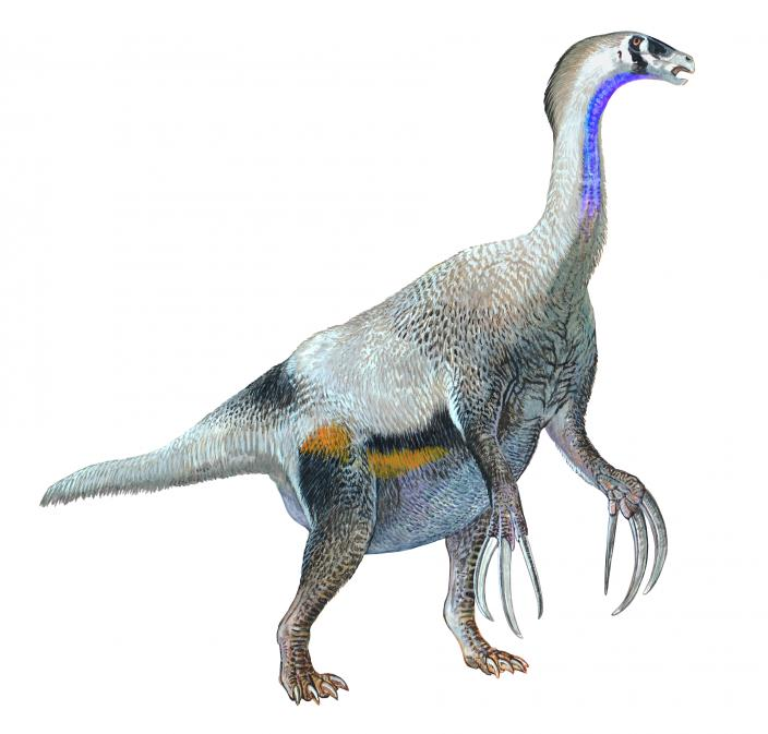 Lazarus__Taxon's tweet image. For this week's #WTFEvolution feature I will be looking at Therizinosaurus (image by Peter Schouten). Therizinosaurus is a very weird dinosaur, for a number of reasons. 
Obviously, its 1 metre long claws (the largest of any animal, ever) are a good start.