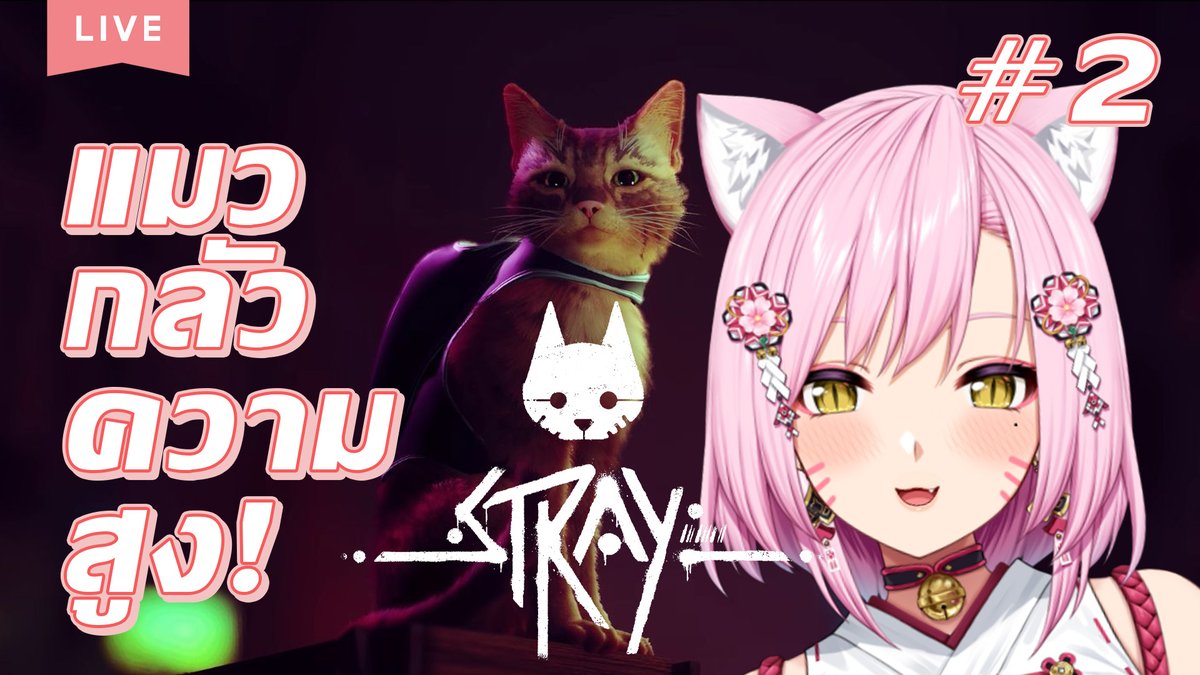 inoriaijou's tweet photo. [🔴LIVE] มาดูแมวสุดcoolที่กลัวความสูงกันดีกว่าทุกคนนน 😽🌸

⏰เวลา: 19:00

🛑ทางไปดาวแมว : https://t.co/xJjUbrTYm9

#InoriLive #taenglive #VtuberTh #Vtuber https://t.co/IUn8je1yzV