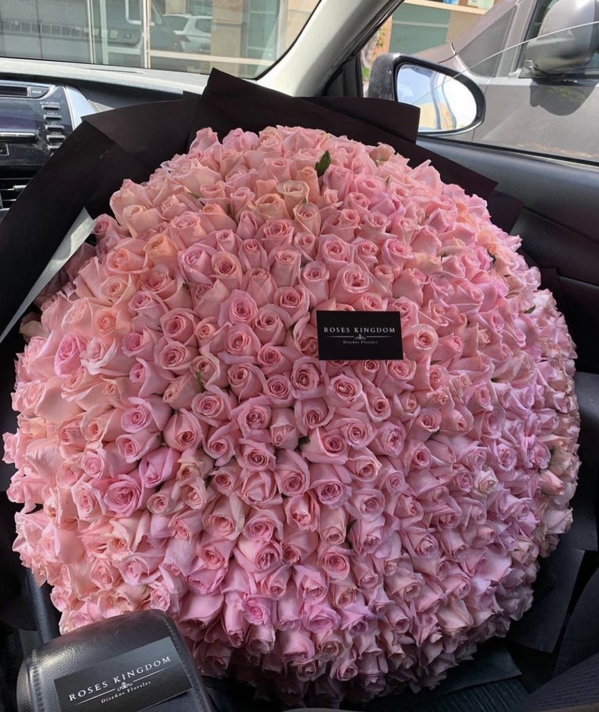 bestofpinkk's tweet photo. pink roses for you!💖 https://t.co/wBdSPbw9RU