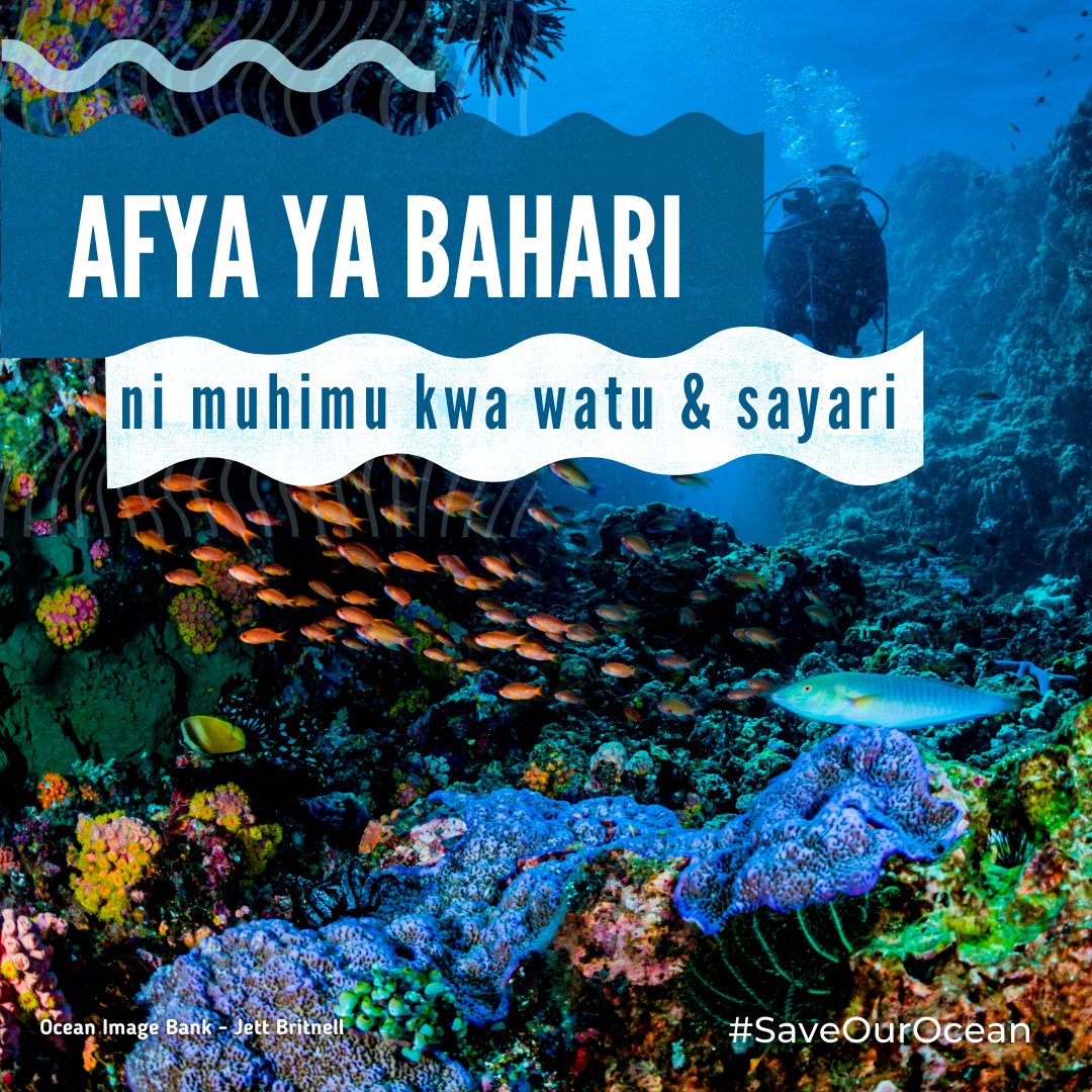 Bahari yenye afya ni muhimu kwa wanadamu na sayari.

Pata mawazo kuhusu jinsi unavyoweza kusaidia kuokoa bahari zetu &amp; maisha yetu ya baadaye. bit.ly/3ahnrCE I #SaveOurOcean