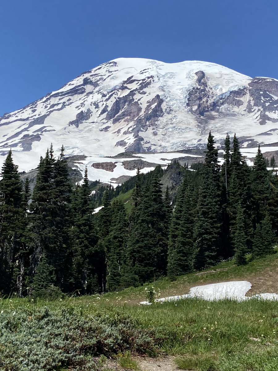 rees_da's tweet image. “The most luxuriant and the most extravagantly beautiful of all the alpine gardens I have ever beheld in all my mountain-top wanderings” - John Muir, 1889 - next time summit try #ShareMyRainier #RainierWildflowers