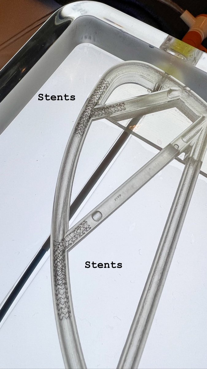 AnasAlomarMD's tweet image. #PCIMasters