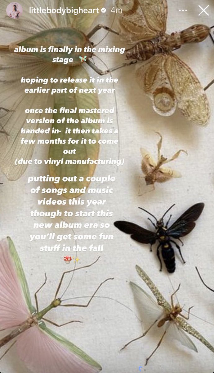 melspurgatory's tweet photo. MELANIE MARTINEZ FINALLY UPDATES FANS ON 3RD ALBUM VIA INSTAGRAM STORY. https://t.co/DrGHXQM814